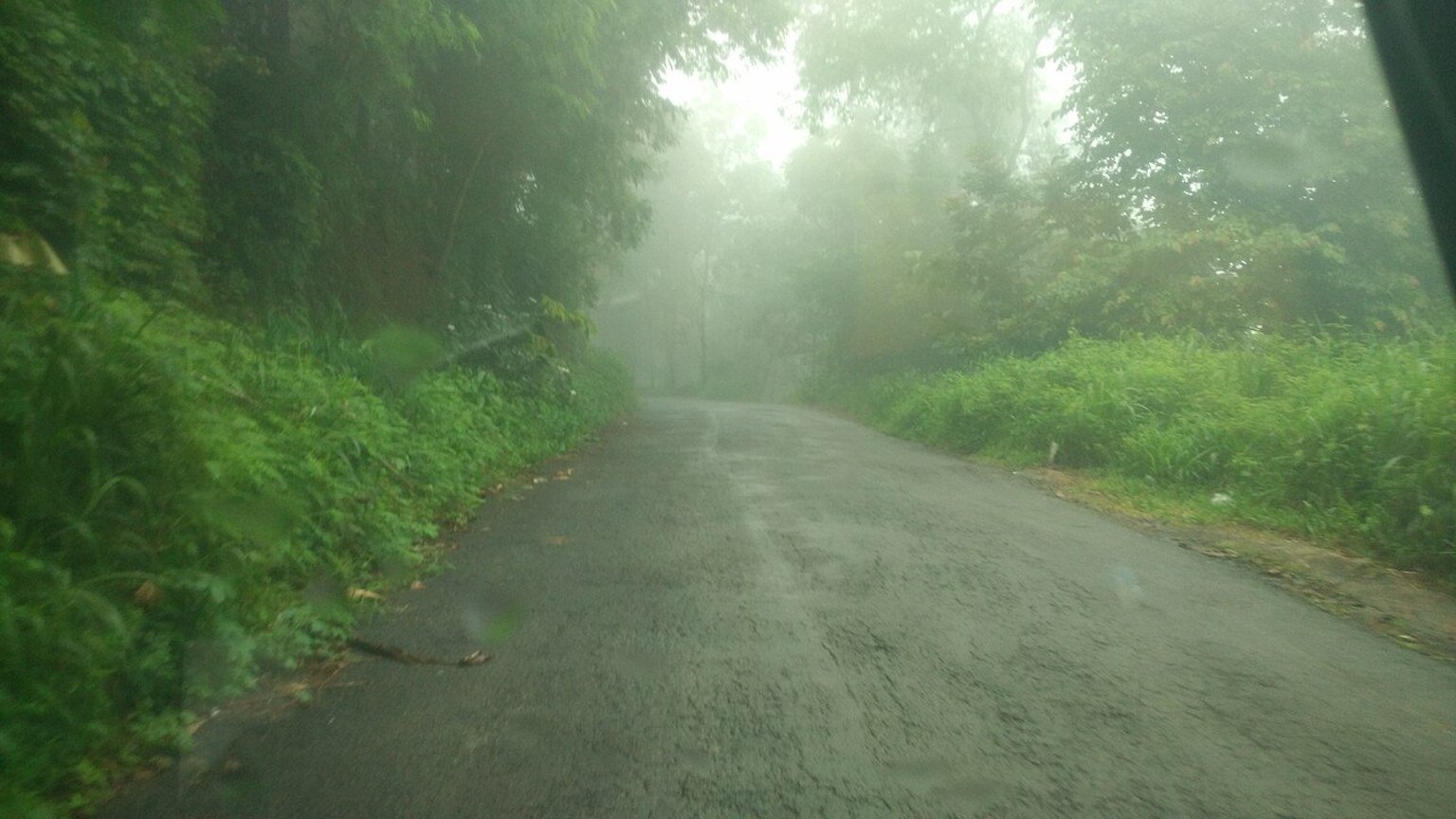 Malappuram in solitaria: colline, cultura e Kerala del nord