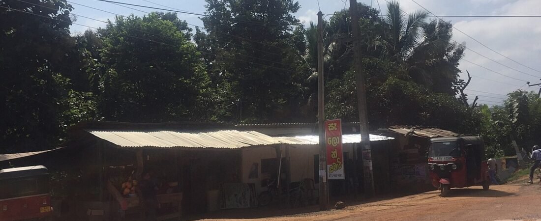 Matale in solitaria: spezie, templi e colline dello Sri Lanka