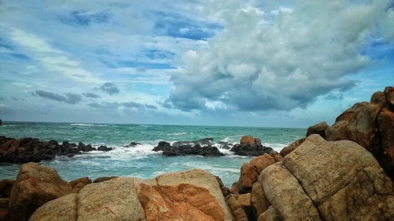 Mirissa in solitaria: spiagge, porto e onde dello Sri Lanka