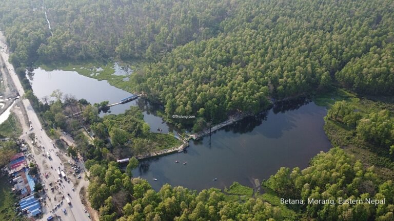 Morang in solitaria: campagne, foreste e Nepal orientale