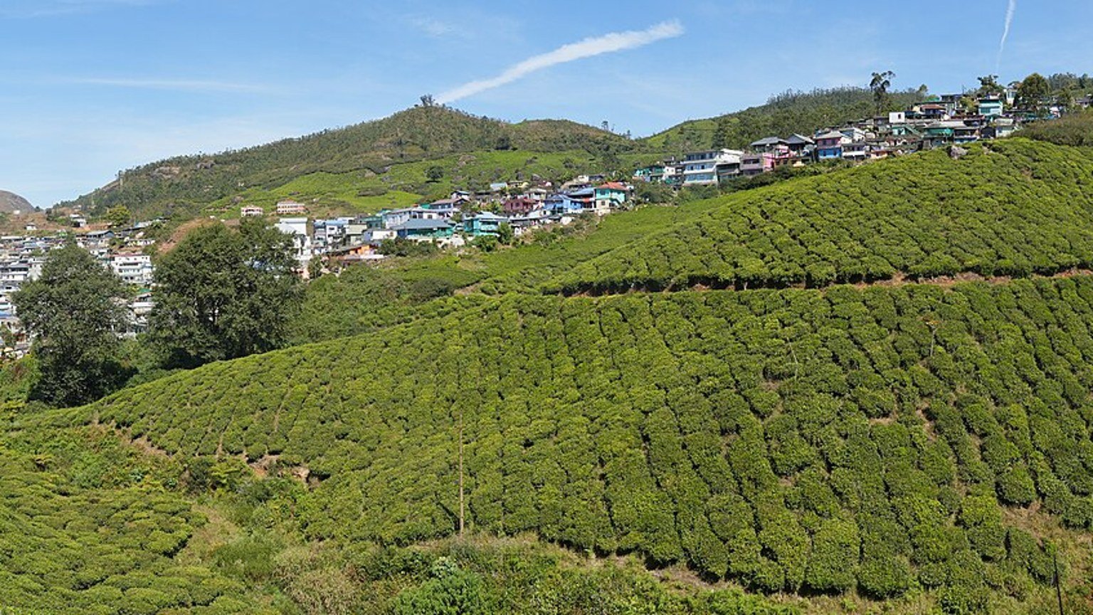 Munnar in solitaria: tu00e8, cascate e montagne del Kerala