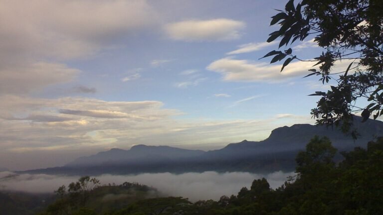 Nawalapitiya in solitaria: piantagioni, fiume e colline dello Sri Lanka