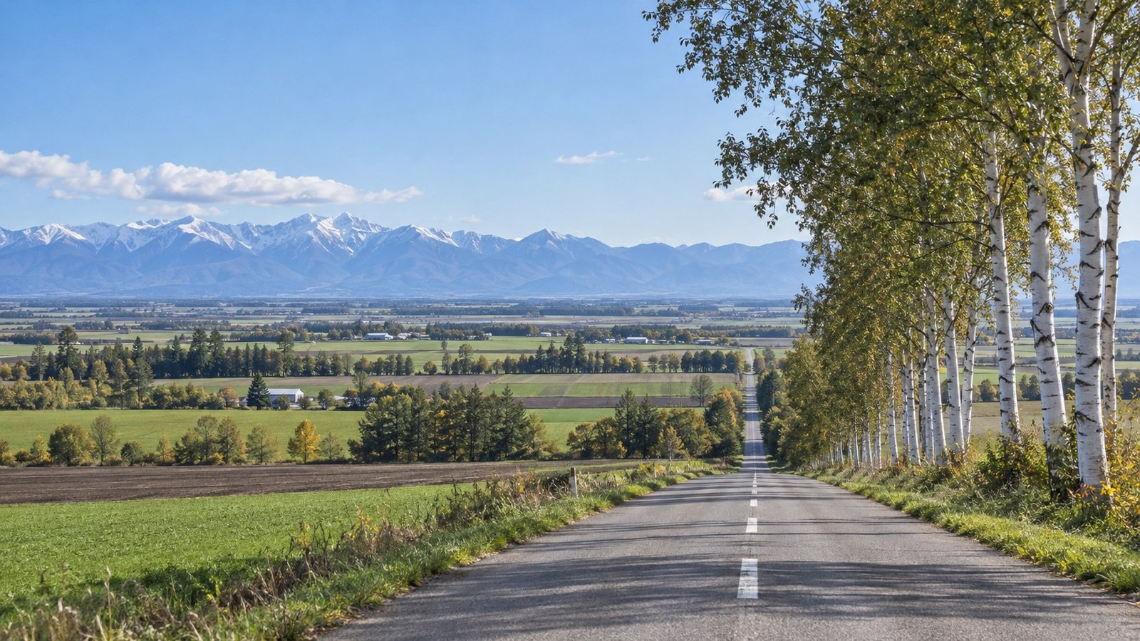 Strada rurale nella pianura Tokachi con betulle e montagne lontane