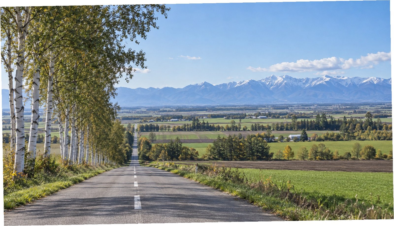 Strada rurale nella pianura Tokachi con betulle e montagne lontane