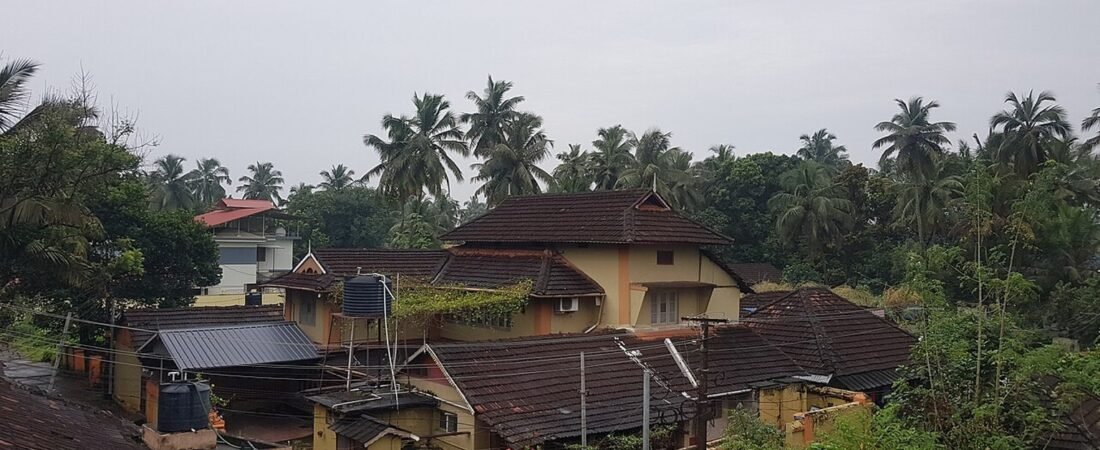 Palakkad in solitaria: colline, natura e Kerala rurale