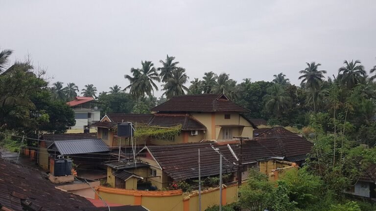 Palakkad in solitaria: colline, natura e Kerala rurale