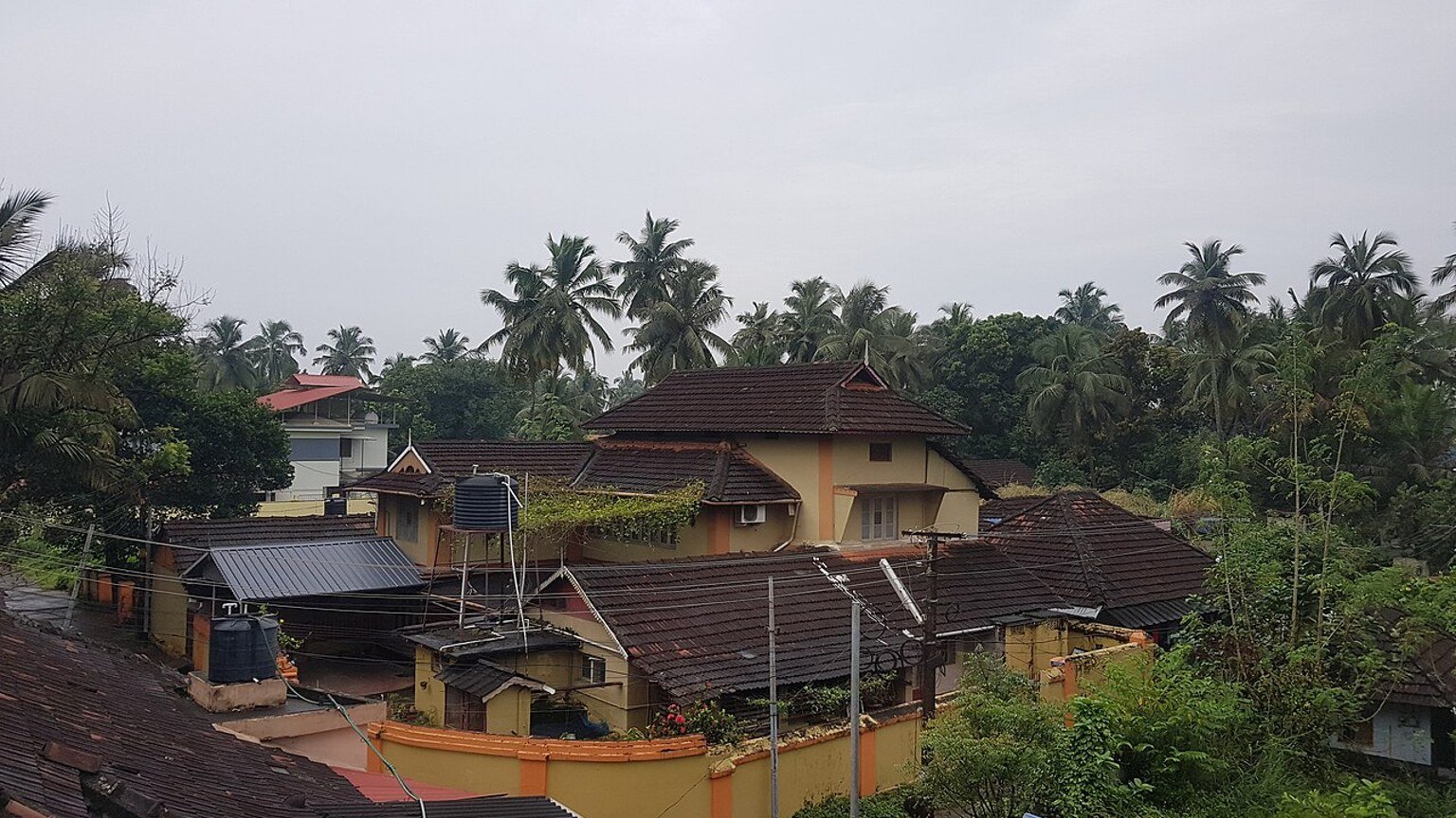 Palakkad in solitaria: colline, natura e Kerala rurale