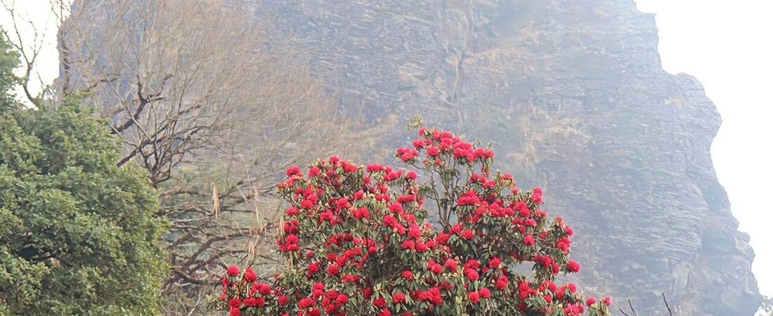 Parbat in solitaria: colline, fiumi e Nepal centrale
