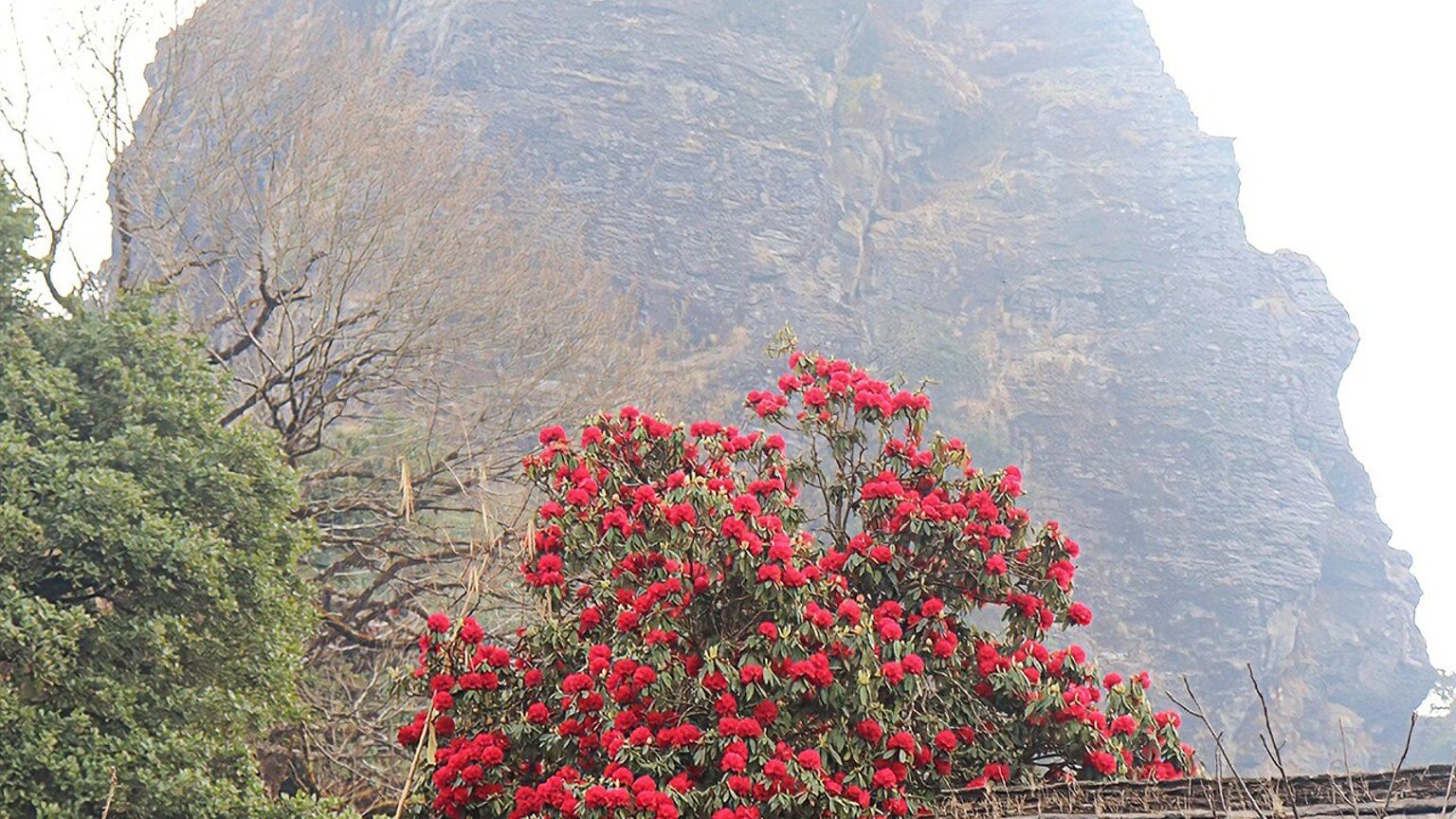 Parbat in solitaria: colline, fiumi e Nepal centrale