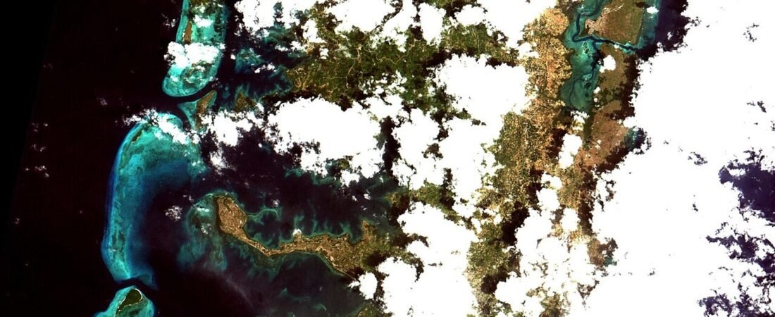 Pemba Island in solitaria: mangrovie, immersioni e silenzi della Tanzania
