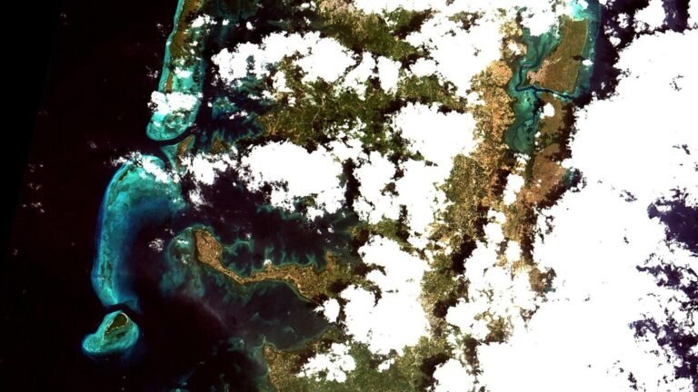 Pemba Island in solitaria: mangrovie, immersioni e silenzi della Tanzania