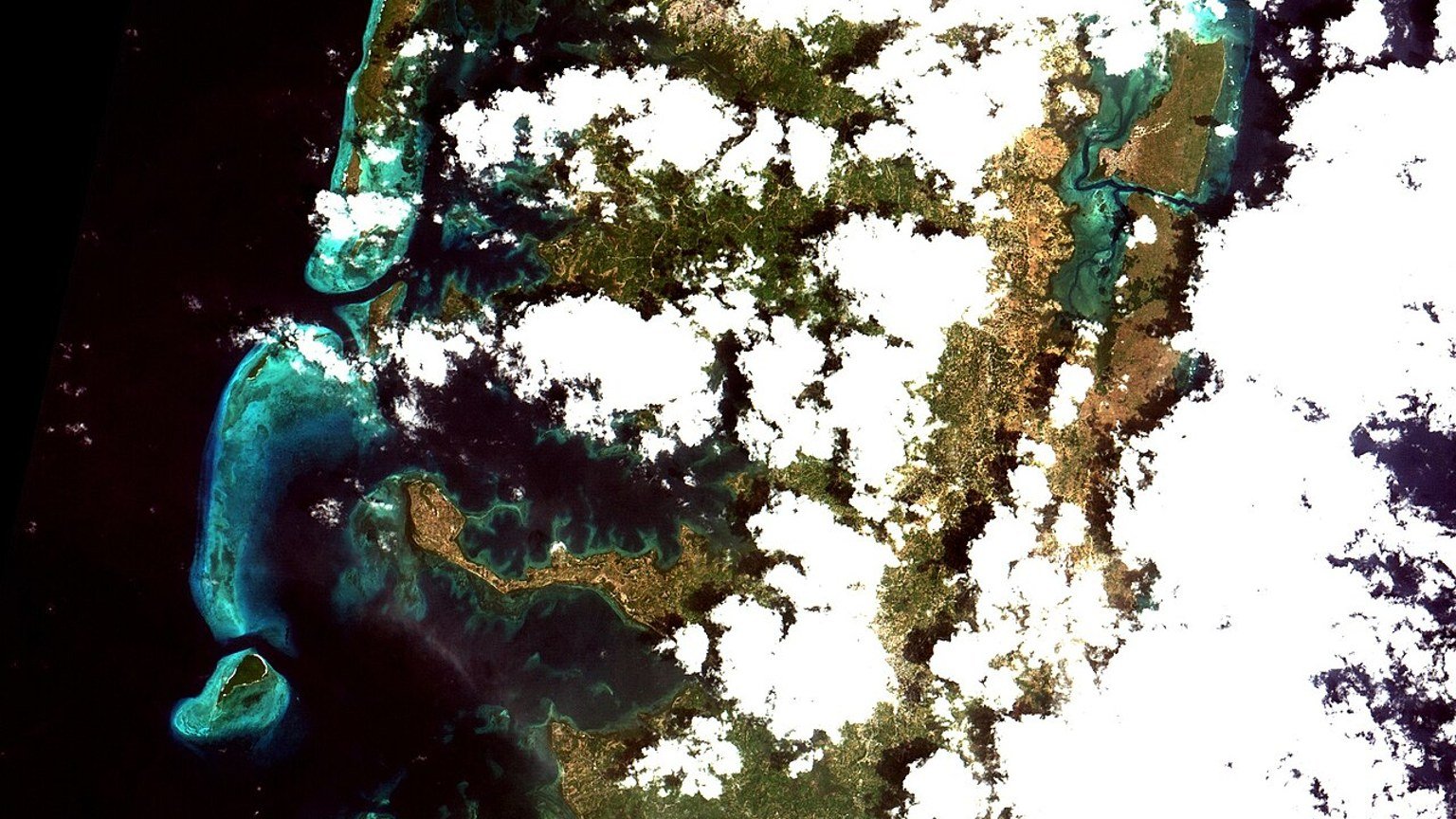 Pemba Island in solitaria: mangrovie, immersioni e silenzi della Tanzania