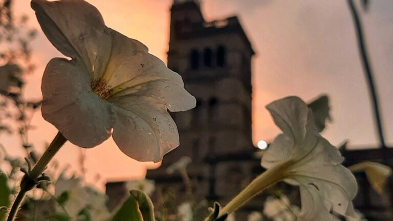 Pune in solitaria: cultura, universitu00e0 e Maharashtra urbano