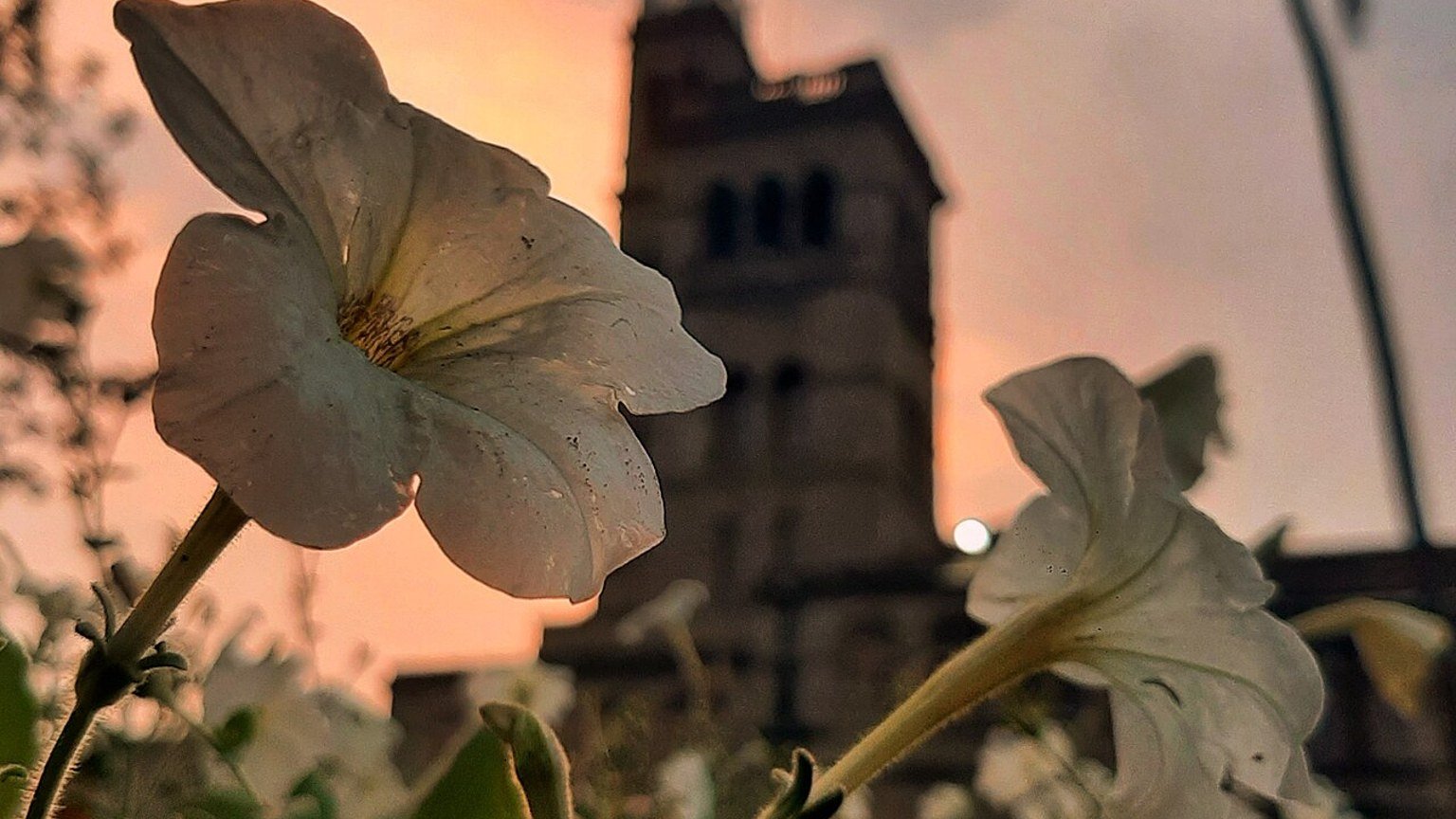 Pune in solitaria: cultura, universitu00e0 e Maharashtra urbano