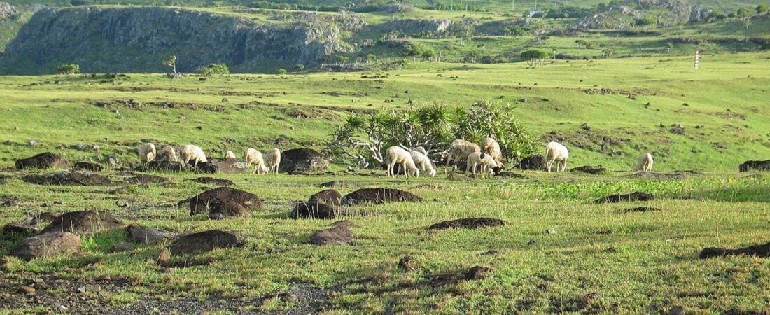 Rodrigues in solitaria: colline, lagune e lentezza nellu2019Oceano Indiano