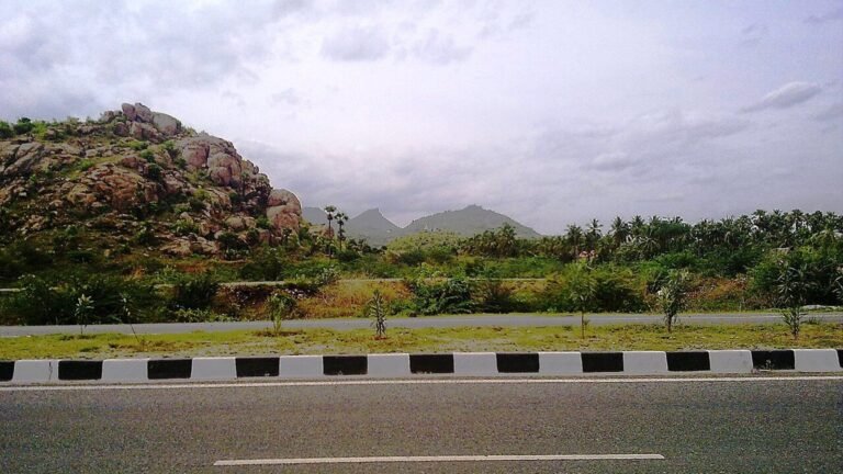 Salem in solitaria: mercati, colline e cultura del Tamil Nadu