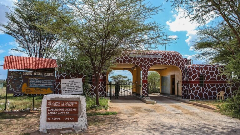 Samburu in solitaria: riserva, paesaggi e cultura del Kenya settentrionale