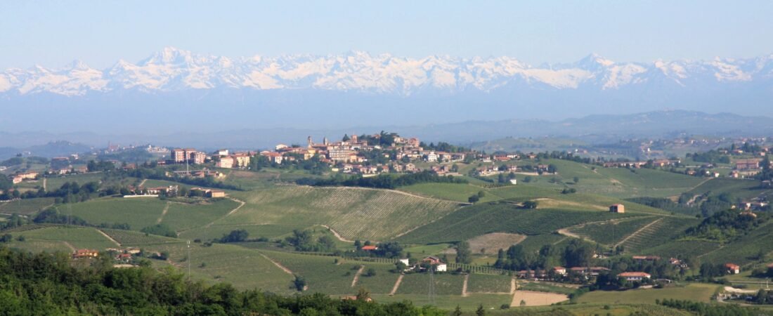 San Marzano Oliveto in solitaria: guida tra Castello di San Marzano Oliveto e territorio