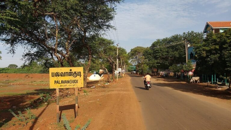 Sivaganga in solitaria: forti, archi e Tamil Nadu rurale