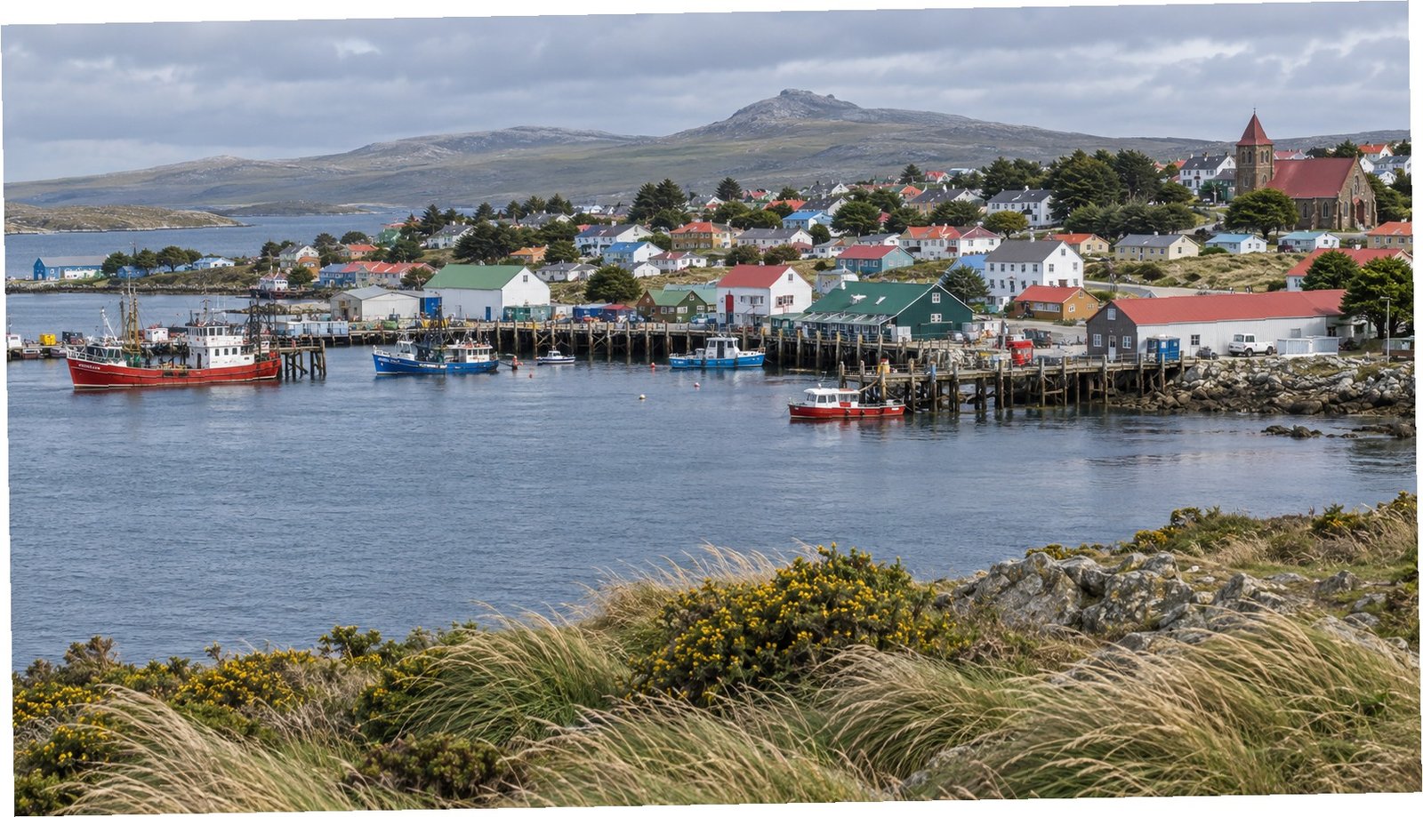 Paesaggio costiero di Stanley, Falkland