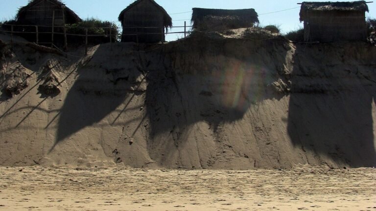 Tofo in solitaria: oceano, spiagge e squali balena del Mozambico
