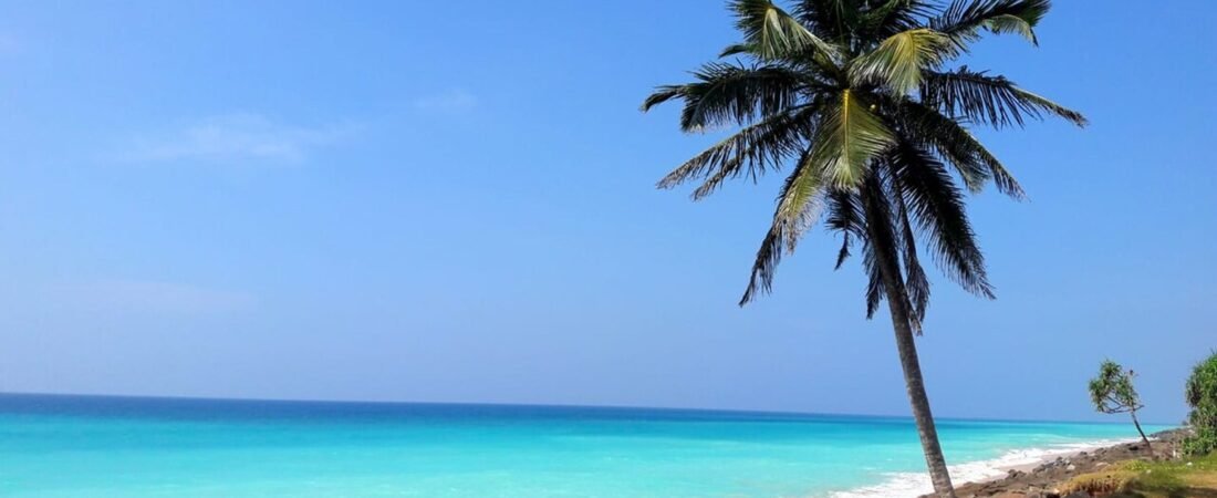 Unawatuna in solitaria: baie, giungla e costa dello Sri Lanka