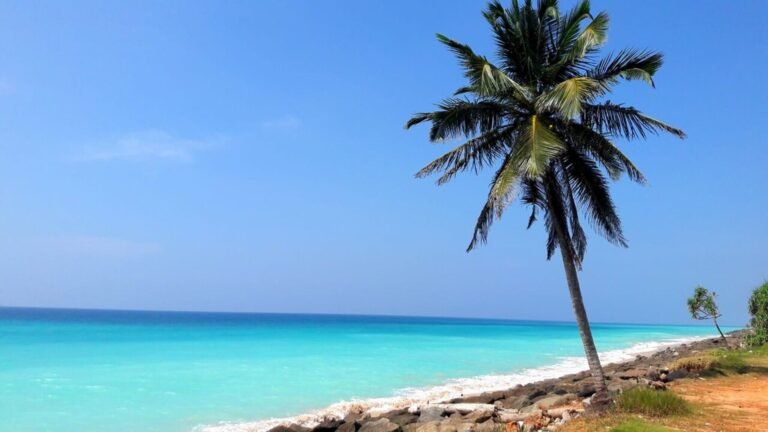 Unawatuna in solitaria: baie, giungla e costa dello Sri Lanka