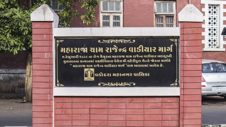 Vadodara in solitaria: viali, cultura e Gujarat moderno