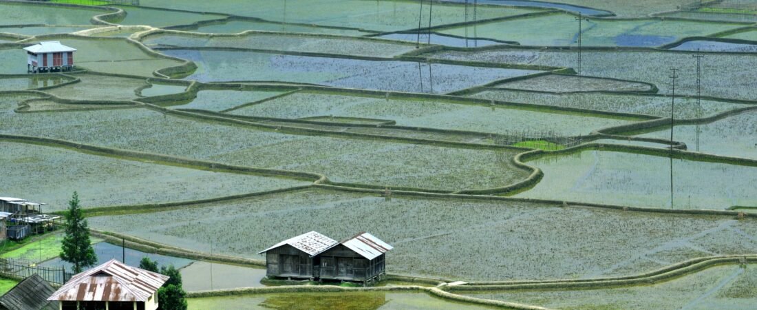 Ziro Valley in solitaria: guida pratica e culturale