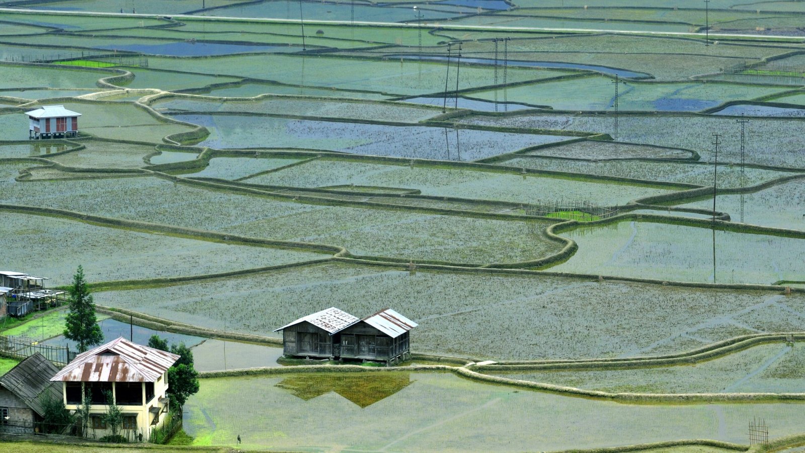 Ziro Valley in solitaria: guida pratica e culturale