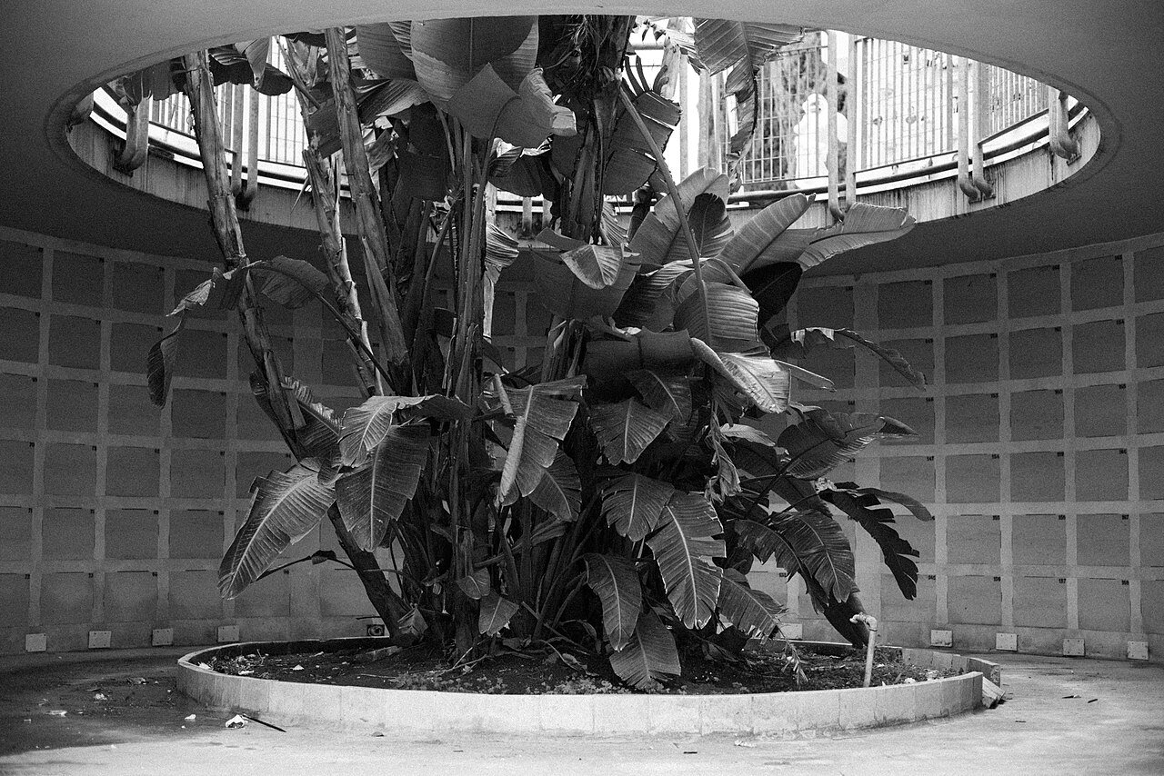 File:Bari - Cimitero di Bari - Aiuola decorativa del cimitero di Bari.jpeg